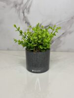 Conjunto Duo Redondo - Chumbo - Imagem 3