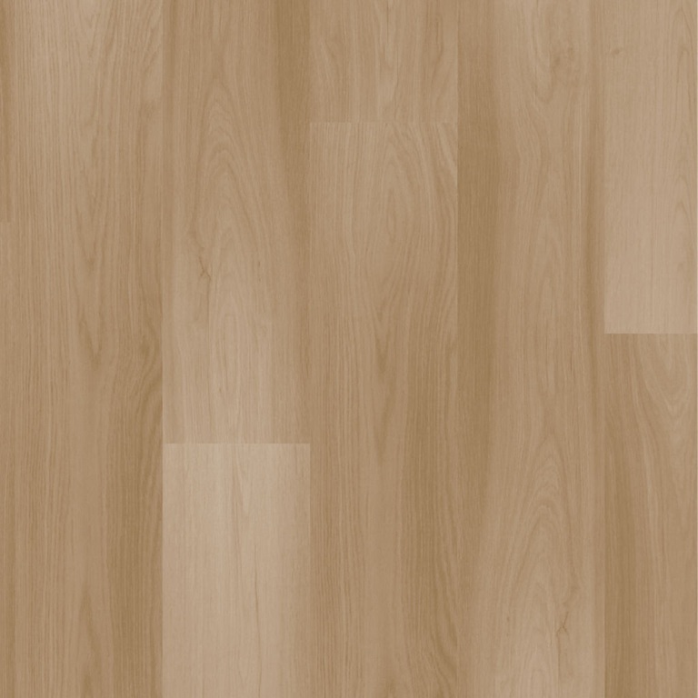 mocha Mocha - Quickstep - Imagem 1